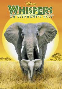 Bisbiglio - Elefantino coraggioso
